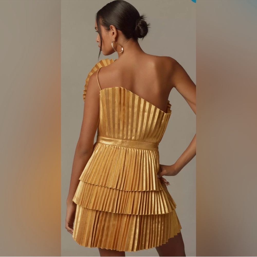 Acler Pleated Mini Dress - Picture 3 of 11